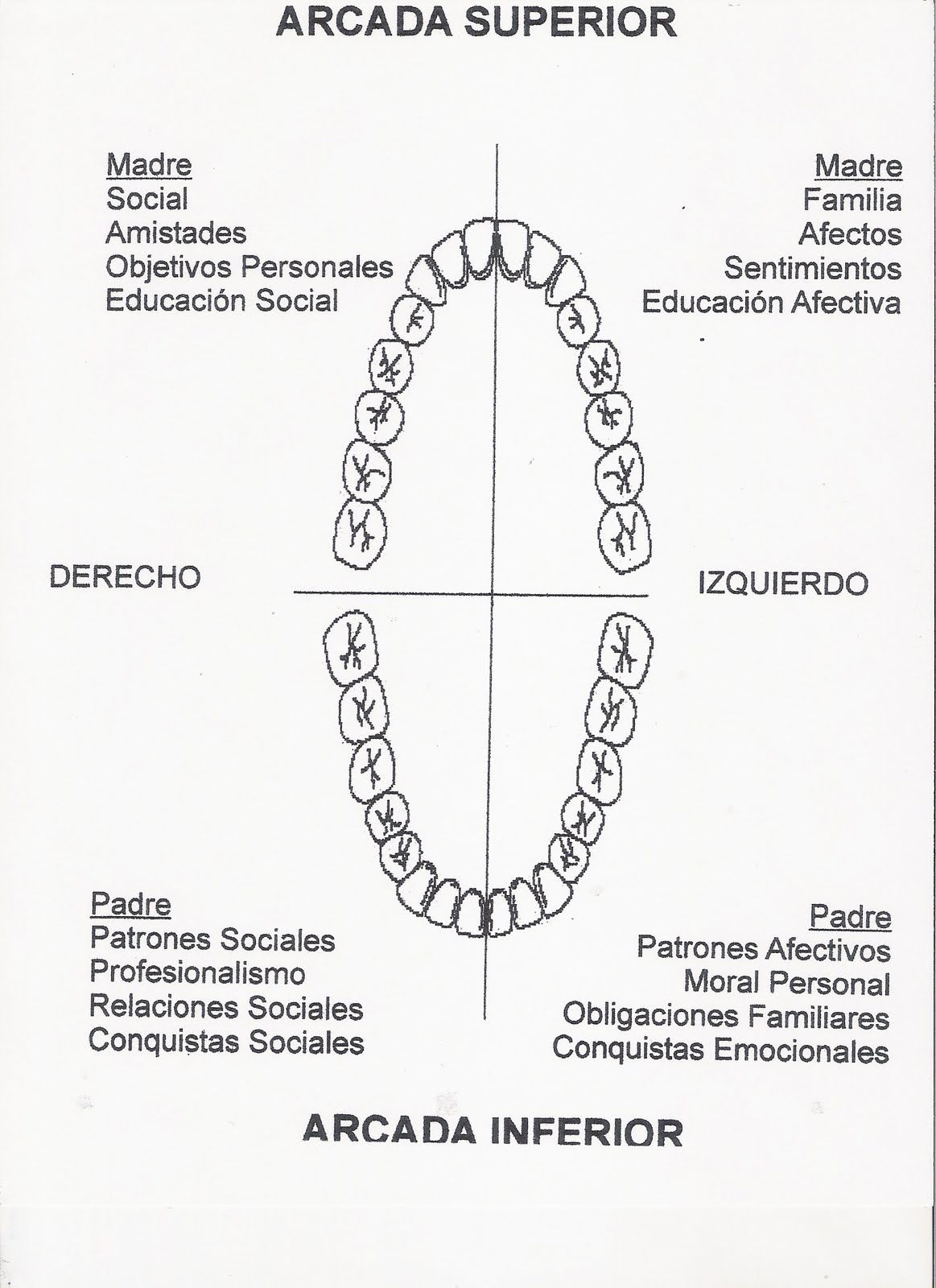odontología holística biocibernética bucal