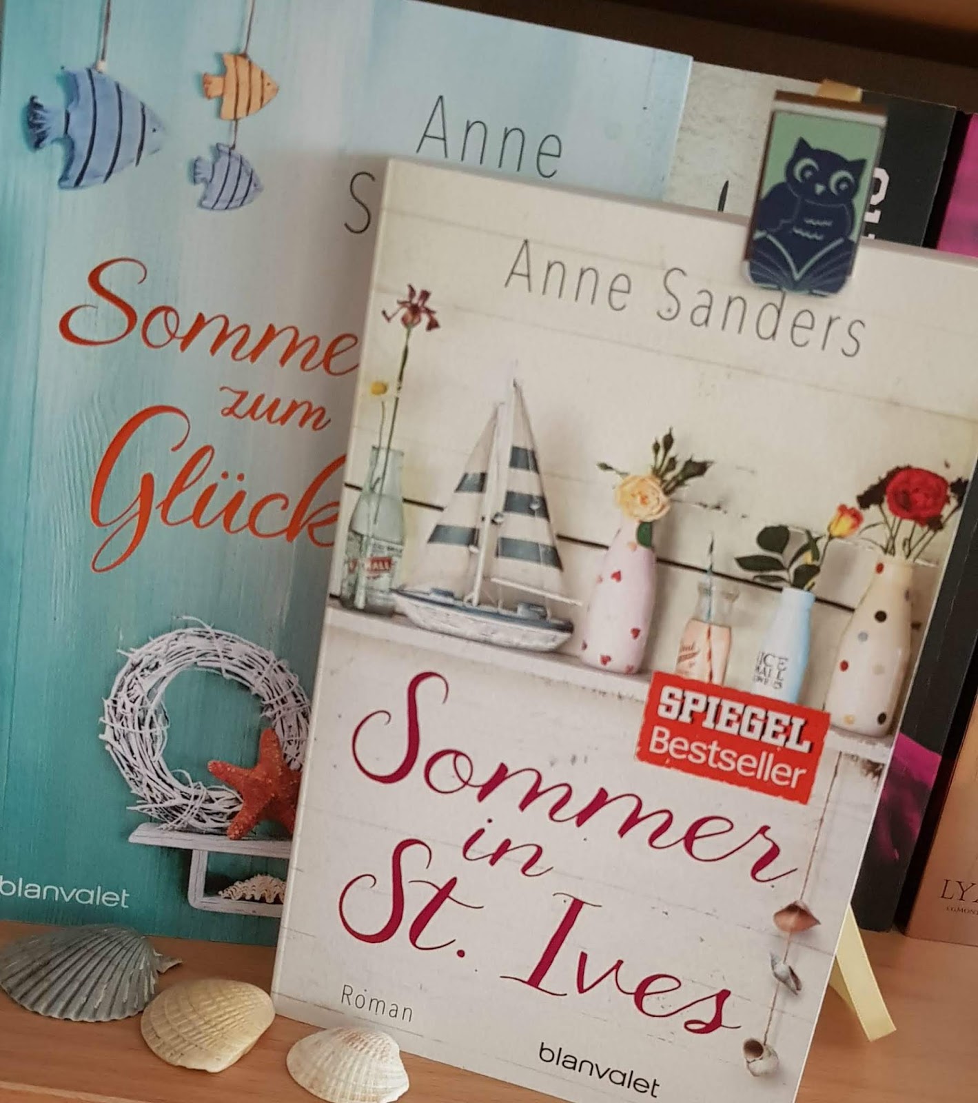 Marie S Salon Du Livre Rezension Sanders Anne Sommer In St Ives