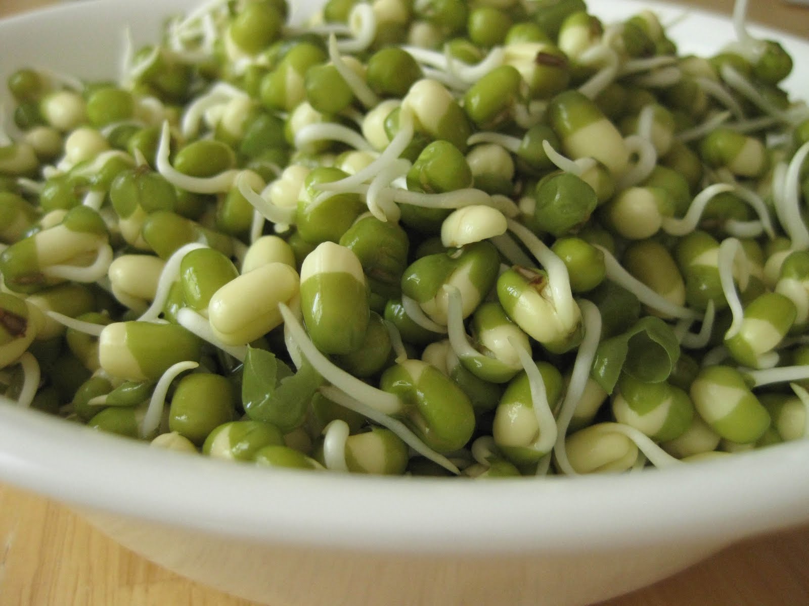 Scott Vegan Sprouted Mung Beans The Perfect Salad Topper