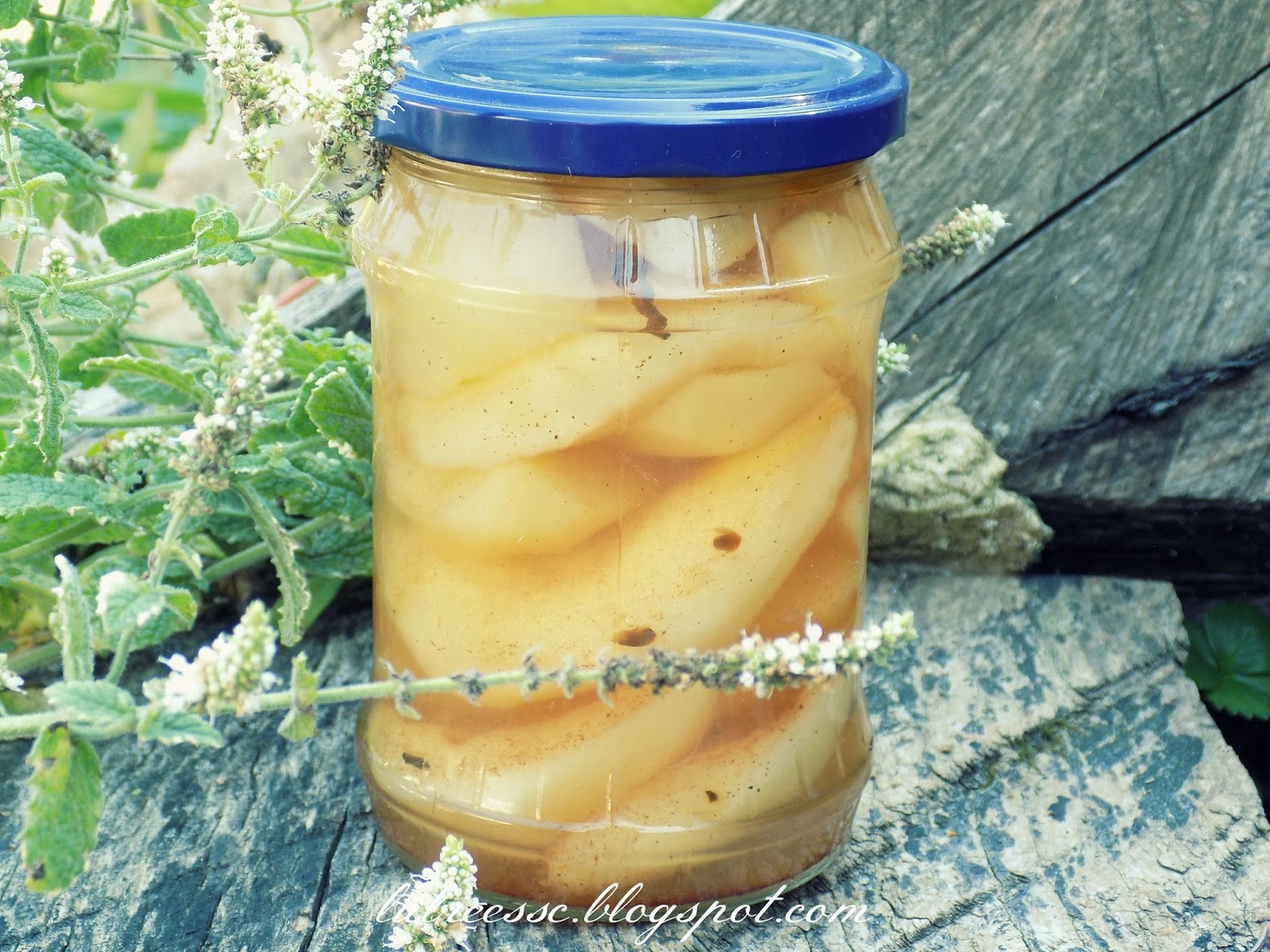 Pychotkaaa Gruszki W Zlewie Lagodnej Wg Siostry Anastazji