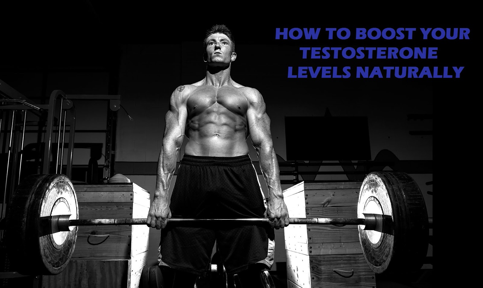 Muscle Palace How to Boost Testosterone Levels to Maximize Muscle Growth