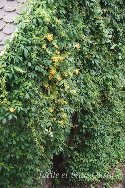 facile et beau - Gusta: Garten Allerlei im Juni