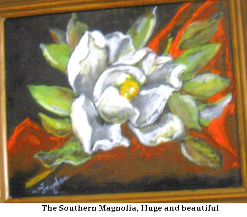 Southern Magnolia  # 165
