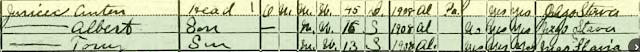 Anton Jureziz listed in 1920 census as Anton Jurecic Mascoutah Illinois with sons Albert Jurezi and Tony Jureziz