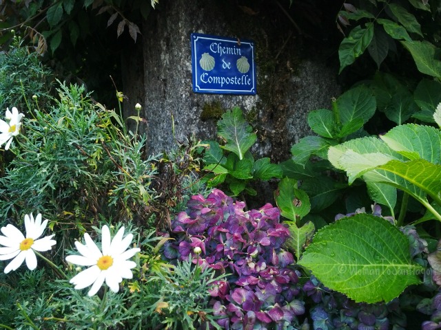 foto chemin du compostelle