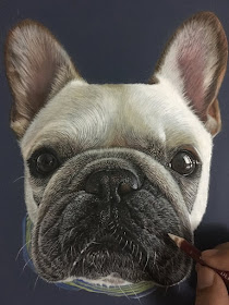 04-Piggy-The-French-Bulldog-Frenchie-Ivan-Hoo-Animals-Translated-to-Realistic-Drawings-www-designstack-co