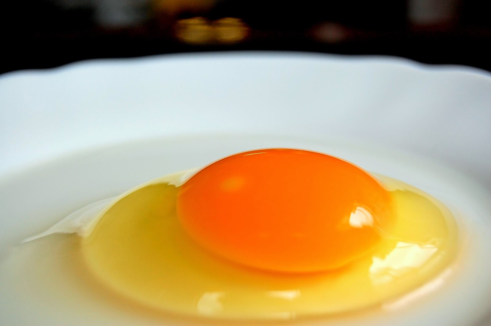 TomoChan Store Japanese egg