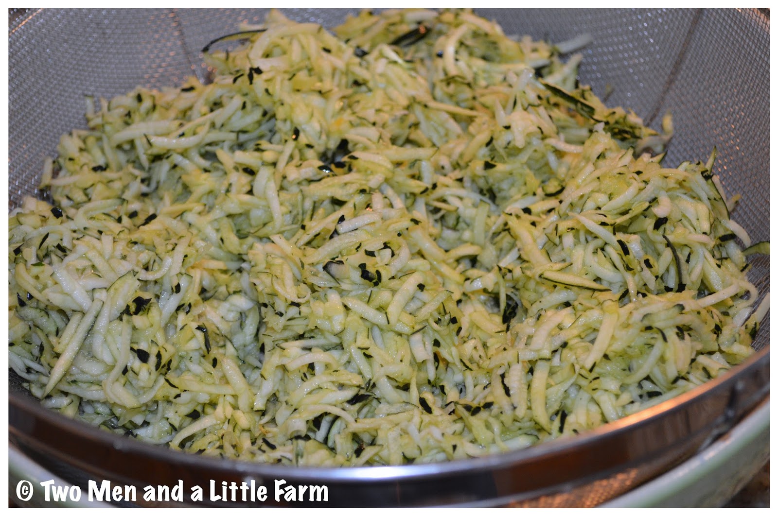 Two Men and a Little Farm HOW TO SHRED AND FREEZE ZUCCHINI FOR LATER USE
