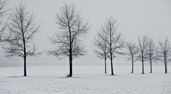 Beautiful Wallpaper: Free Winter Facebook Covers for Timeline