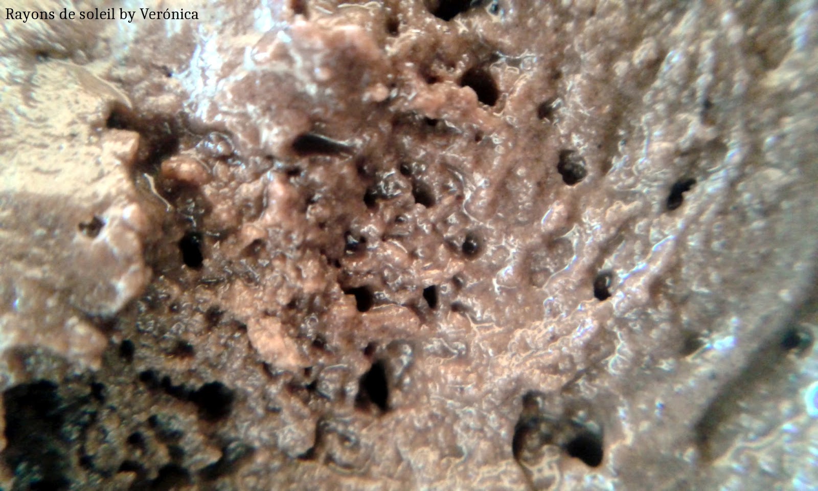 Download Rayons De Soleil By Veronica Lush Cupcake Fresh Face Mask PSD Mockup Templates