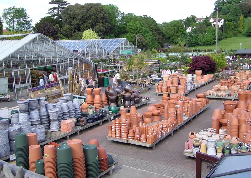 A Garden Centre in the UK ONE FULL BOX
