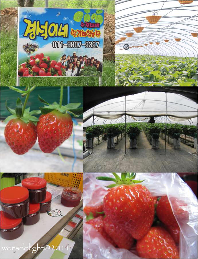 Wen's Delight Korea/Jeju Trip May 2011 Day 6