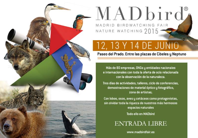 MADbird Fair 2015