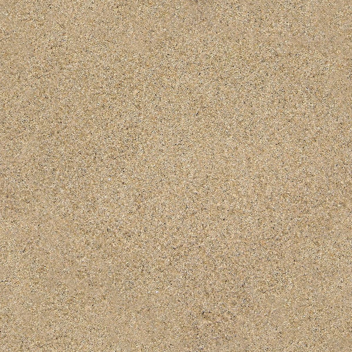Seamless Beach Sand Texture Bump Map Sand Textures Carpet Samples | My ...
