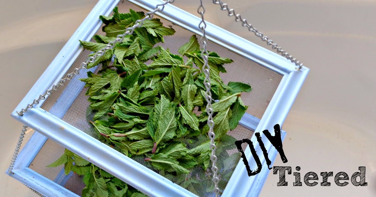 DIY Herb Drying Rack: Herb Drying at Home — Studio Sprig