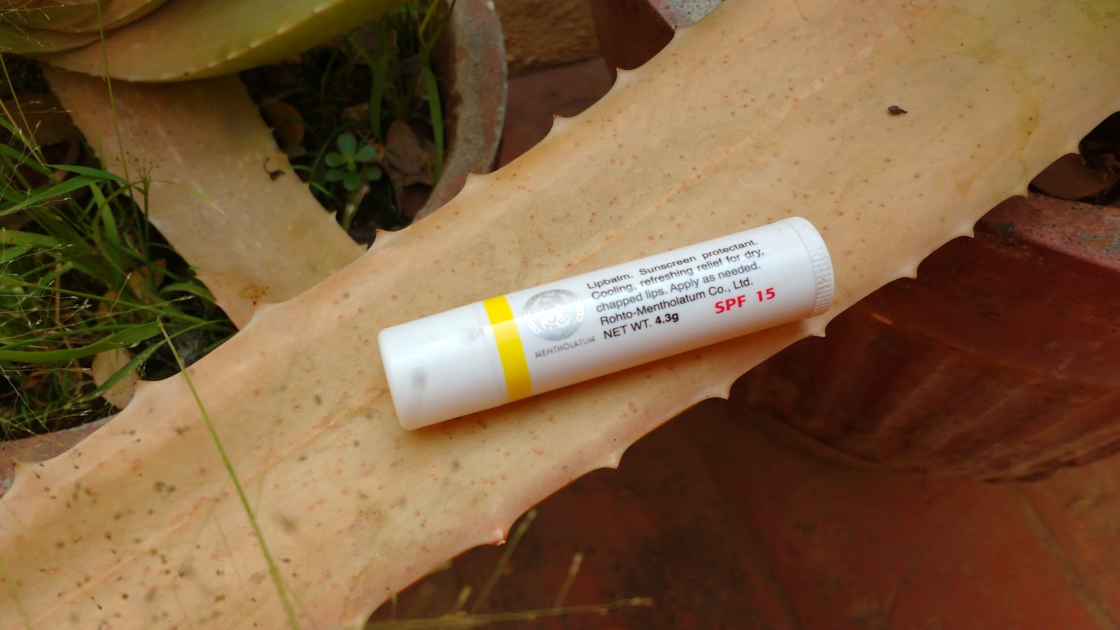 LipIce Lemon Raspberry Lip Balm Review Favourite winter Lip Balm