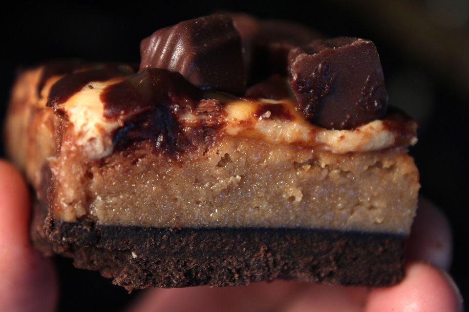 The 99 Cent Chef Ultimate Dessert Bar Deal of the Day