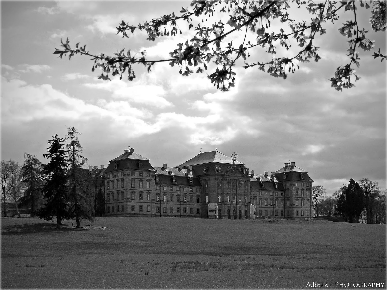 Neues Vom Lindenhof Gartenmesse Auf Schloss Langenburg Garden