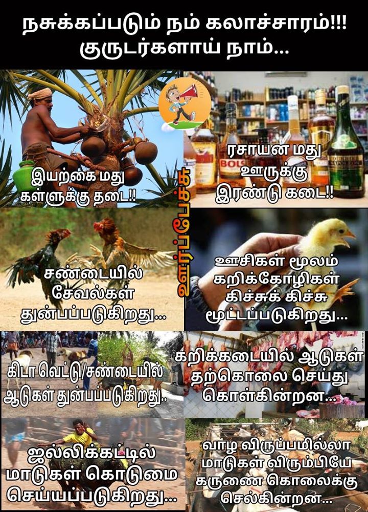 தமிழ் நாடு அன்றும் இன்றும் - பார்த்ததில் பிடித்தது- 15591513_1285105444844437_4352316044246585311_o