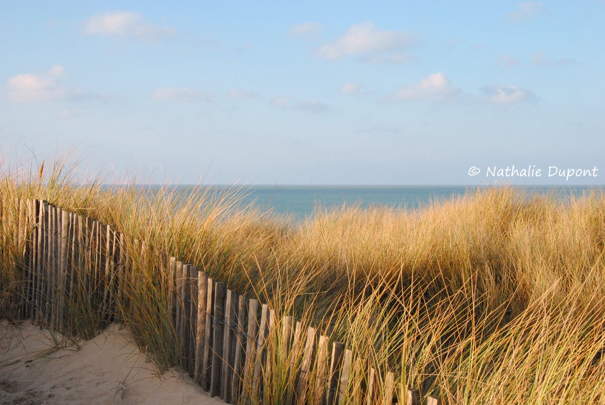 Au fil de la photo... juillet 2013
