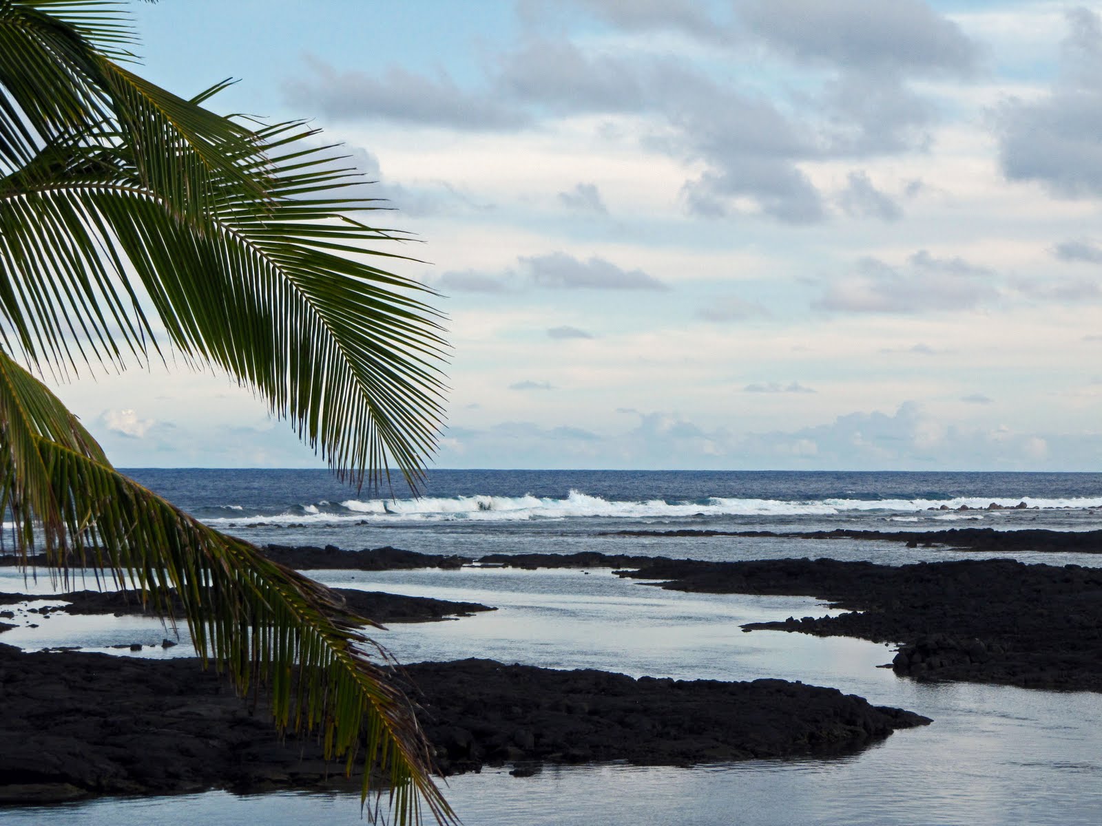 bell street journal: Pahoa---Days 6 & 7