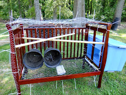 chicken coop pallets chickens dog trailer wire crate into crib josh shipping under grilled range built turned expanded broody