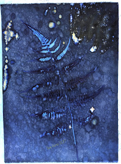 Wet Cyanotype_Sue Reno_Image 177