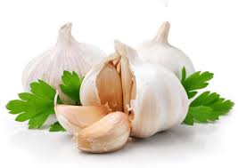 bawang putih untuk mengobati wasir bawang putih untuk mengobati wasir