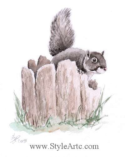 Watercolor Squirrel Art
