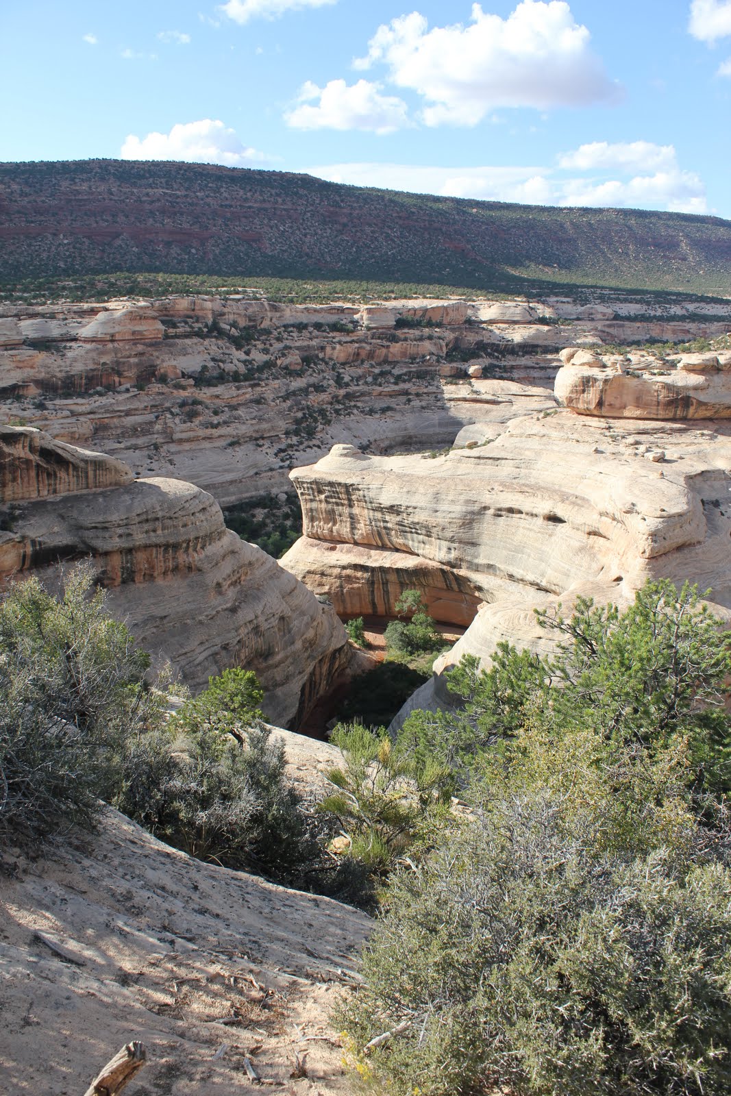 TRAINING WHEELS NOT INCLUDED Natural Bridges National Monument