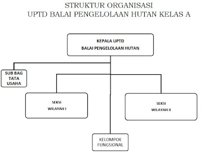 Struktur organisasi UPTD Balai Pengelolaan Hutan Kelas A Struktur organisasi UPTD Balai Pengelolaan Hutan Kelas A