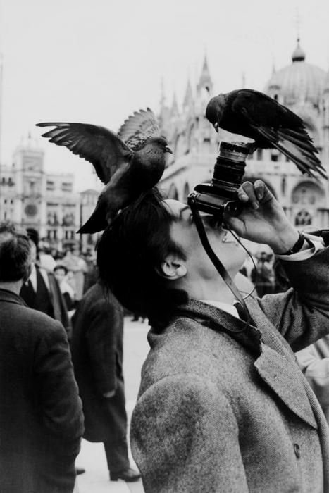 Alain Delon