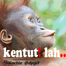Image Result For Dp Gif Kocak Image Result For Dp Gif Kocak