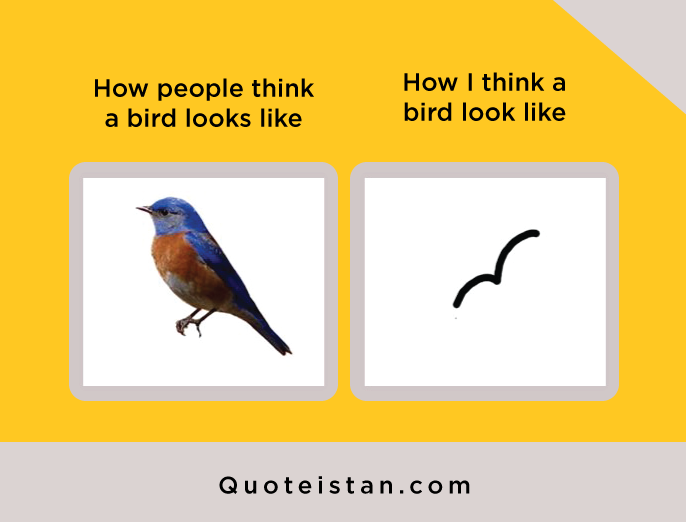 How people think a bird looks like Vs How I think a bird look like