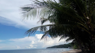 KM 50-51 Catmon Beach, Catmon, Cebu