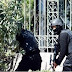 ट्यूनिशिया के म्यूजियम में गोलीबारी, 19 लोगों की मौत