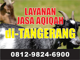 Referensi Biaya Aqiqah yang Murah di Tangerang, 081298246900