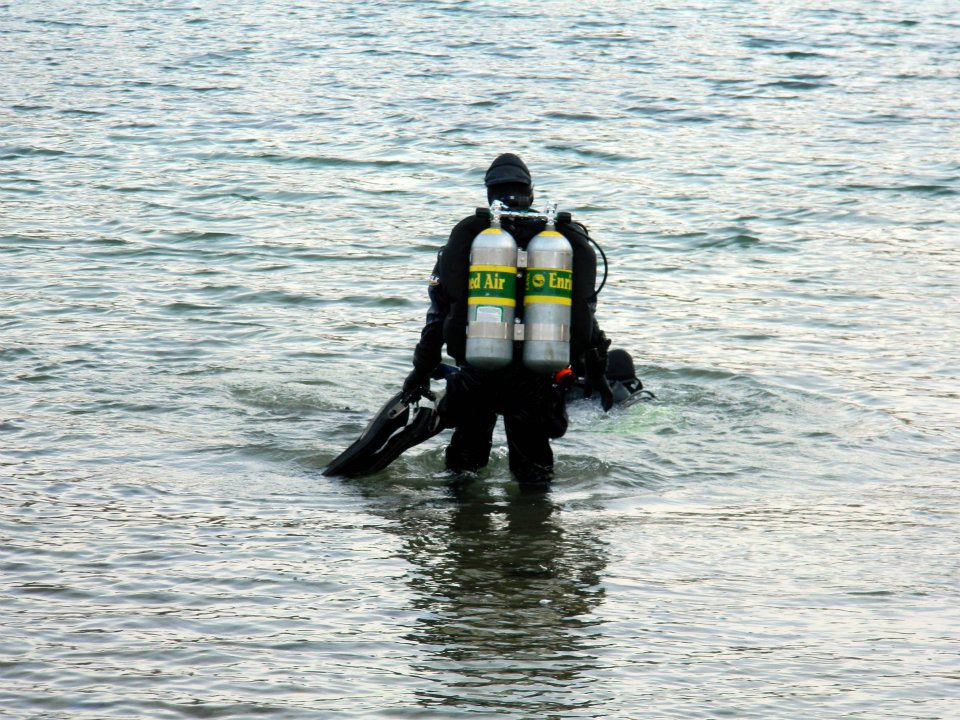 Scuba Emporium Local diving Everybody’s Doing It. (Seriously).