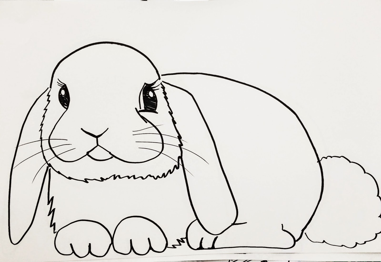 Мое любимое животное заяц рисунок