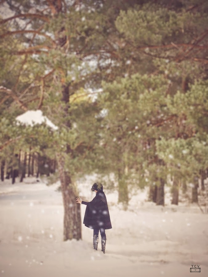 fotagrafía-digital-en-la-nieve