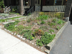 Monarch Park spring garden cleanup before by Paul Jung Gardening Services Toronto