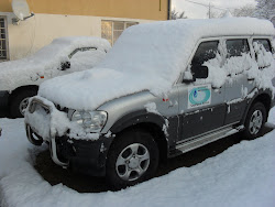 GKWS car in snow
