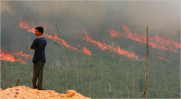 Indon_forest_fire.jpg