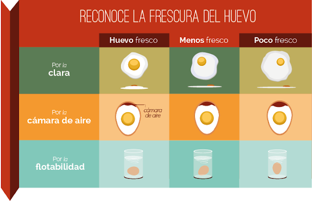 frescura del huevo