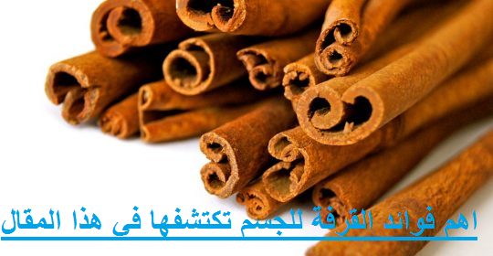 اهم فوائد القرفة للجسم تكتشفها في هذا المقال