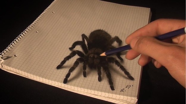 3D Spider Drawing/AMAZING realistic illusion! - Viral G