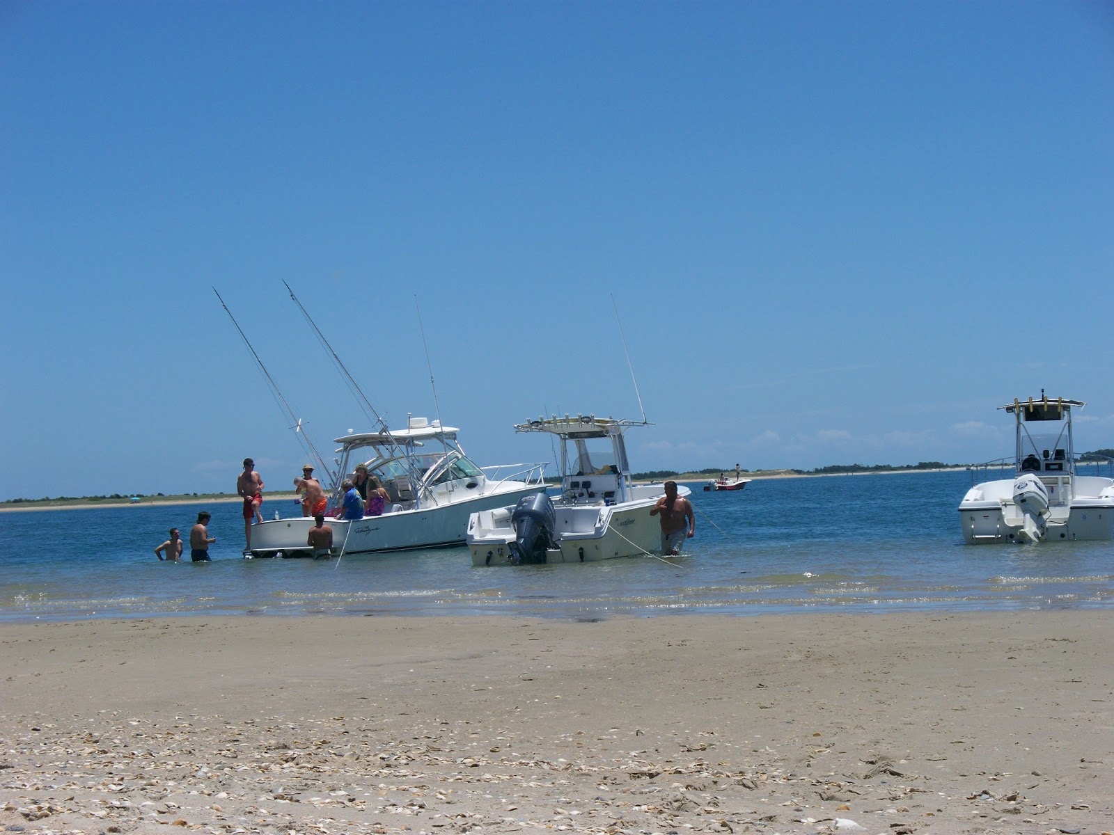 Coastal Current Shark Island