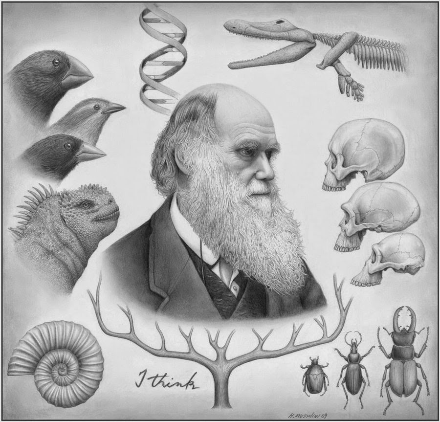 Sintético 99 Foto Imagenes De La Teoria De Darwin Lleno