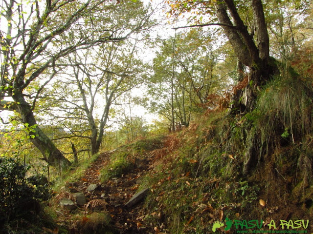 Sendero al Collado La Espina