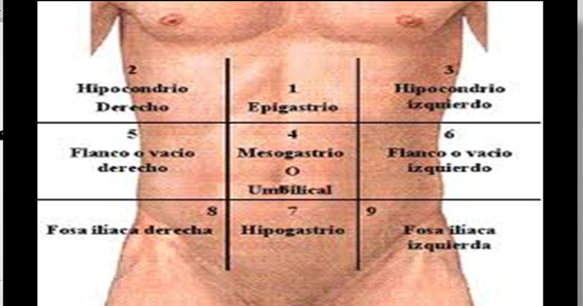 Los 9 cuadrantes del estomago